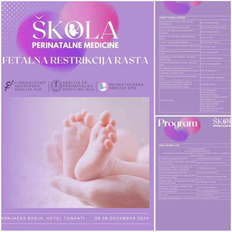 Skola-perinatalne-medicine-Slika-1.jpg